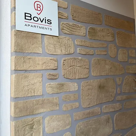 Bovis #3